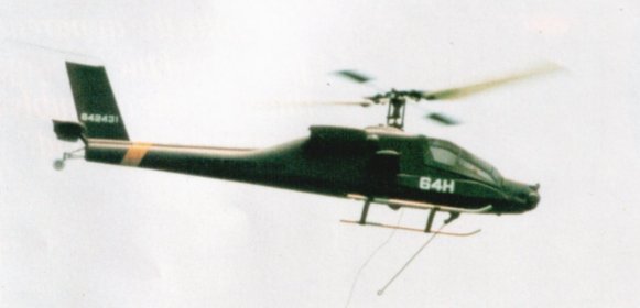 Picture of 'Apache'